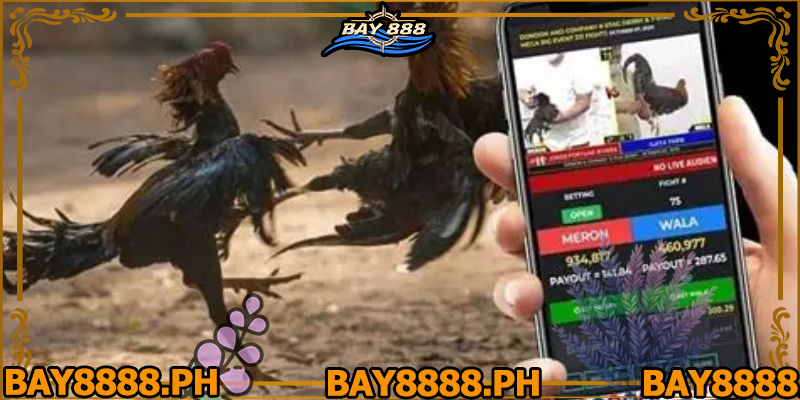 sabong-betting